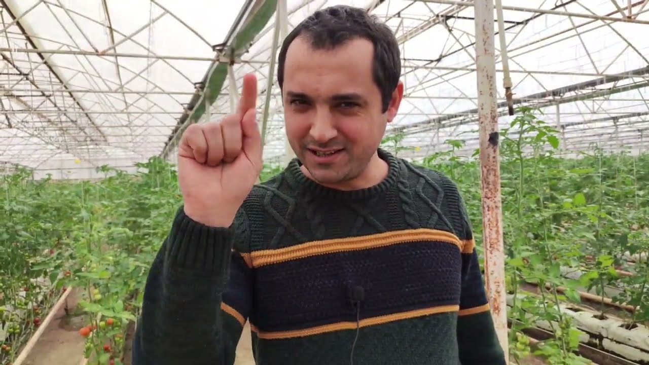 İstixana və Sadə Avtomatika