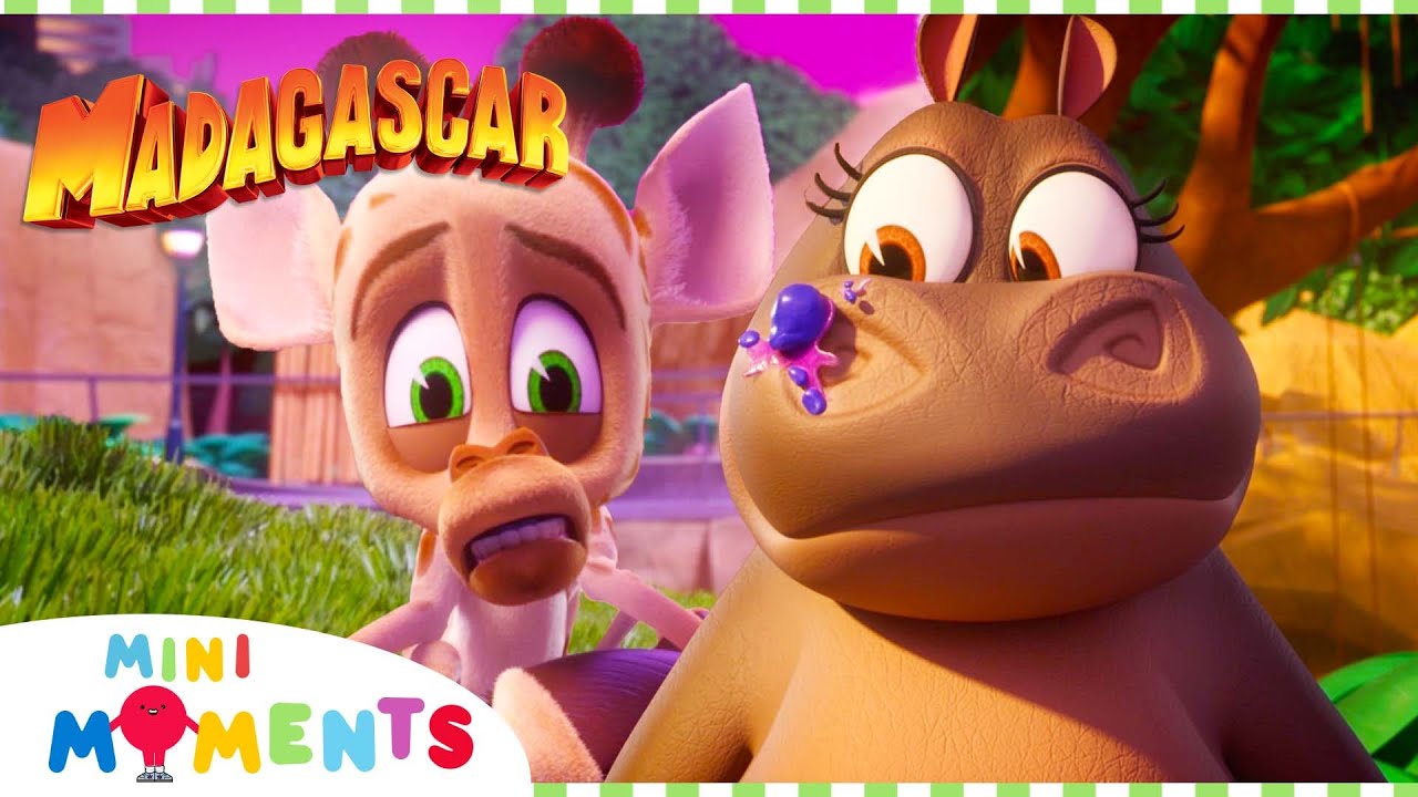 Adventures In Petsitting! 🦔 | Madagascar: A Little Wild | Compilation | Mini Moments