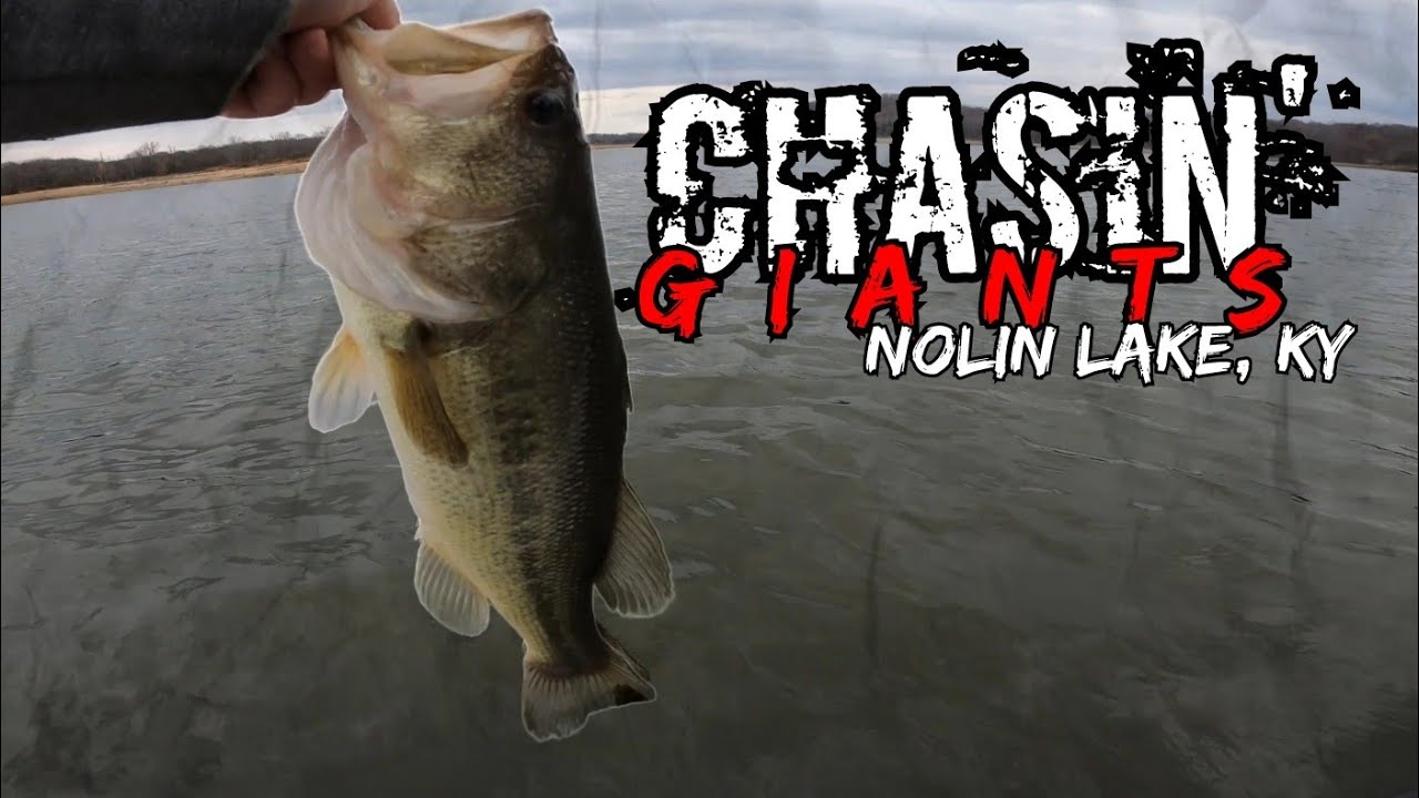 Catching GIANT Fall Bass