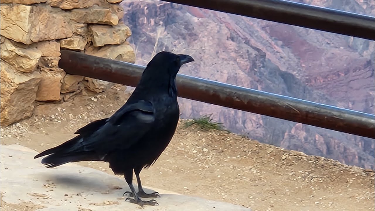 Прогноз на неделю 🌷🌀💕🌷🌀💕🌷🌀💕События ближайших дней 💕🌀🌷💕🌀🌷