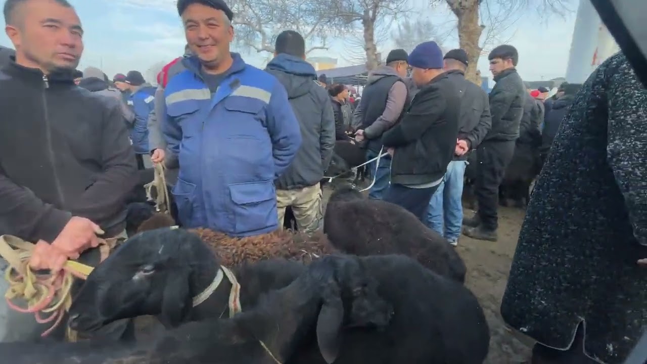 Samarkand pastdarğom juma mol bozori