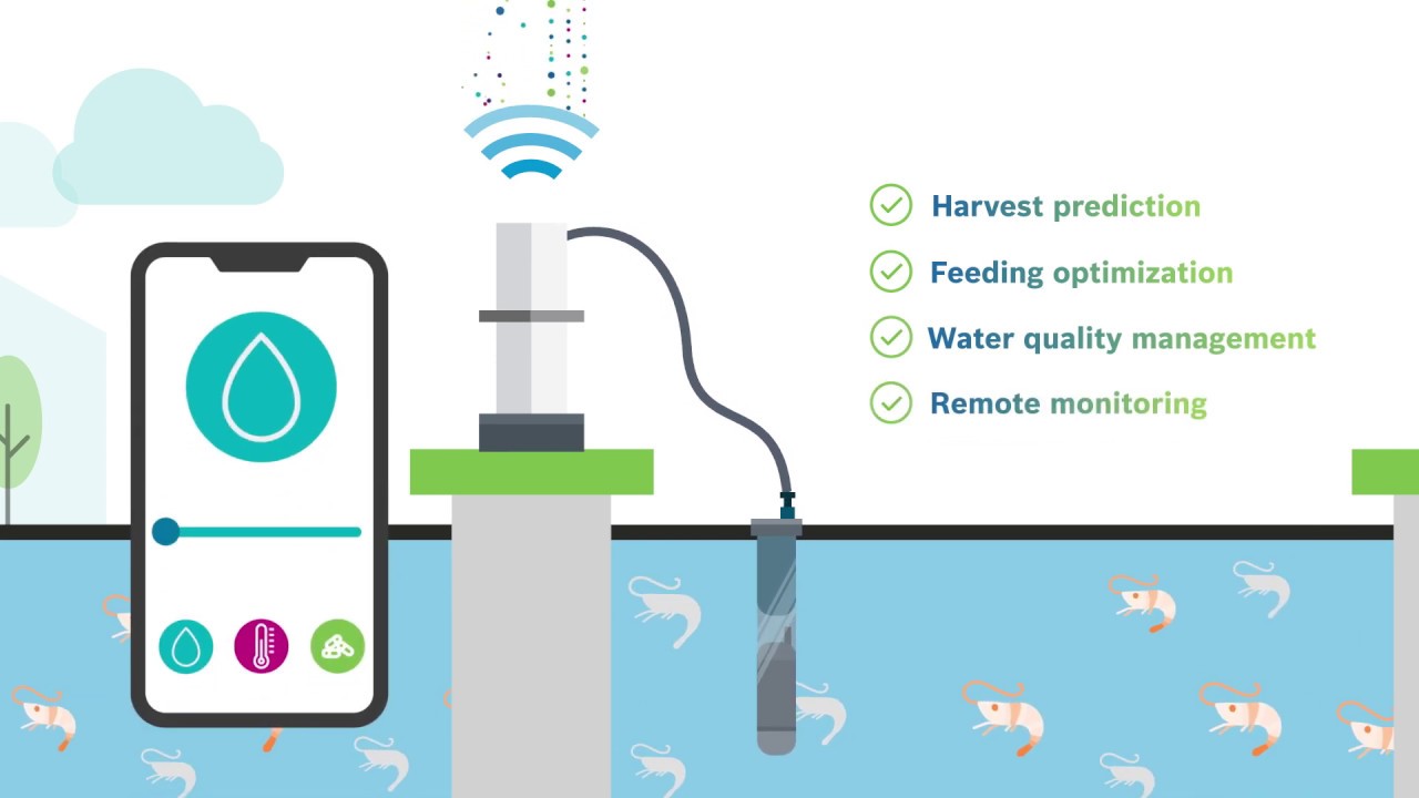 AquaEasy | The IoT solution for aqua farmers | BOSCH