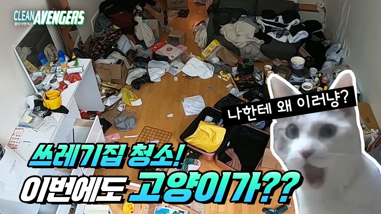 [청소] 집사야..제발 청소좀 하고살자..(ft.쓰레기집) [cleaning] Don't keep a cat in the trash house.