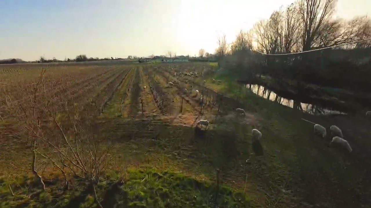 la ferme de Piote