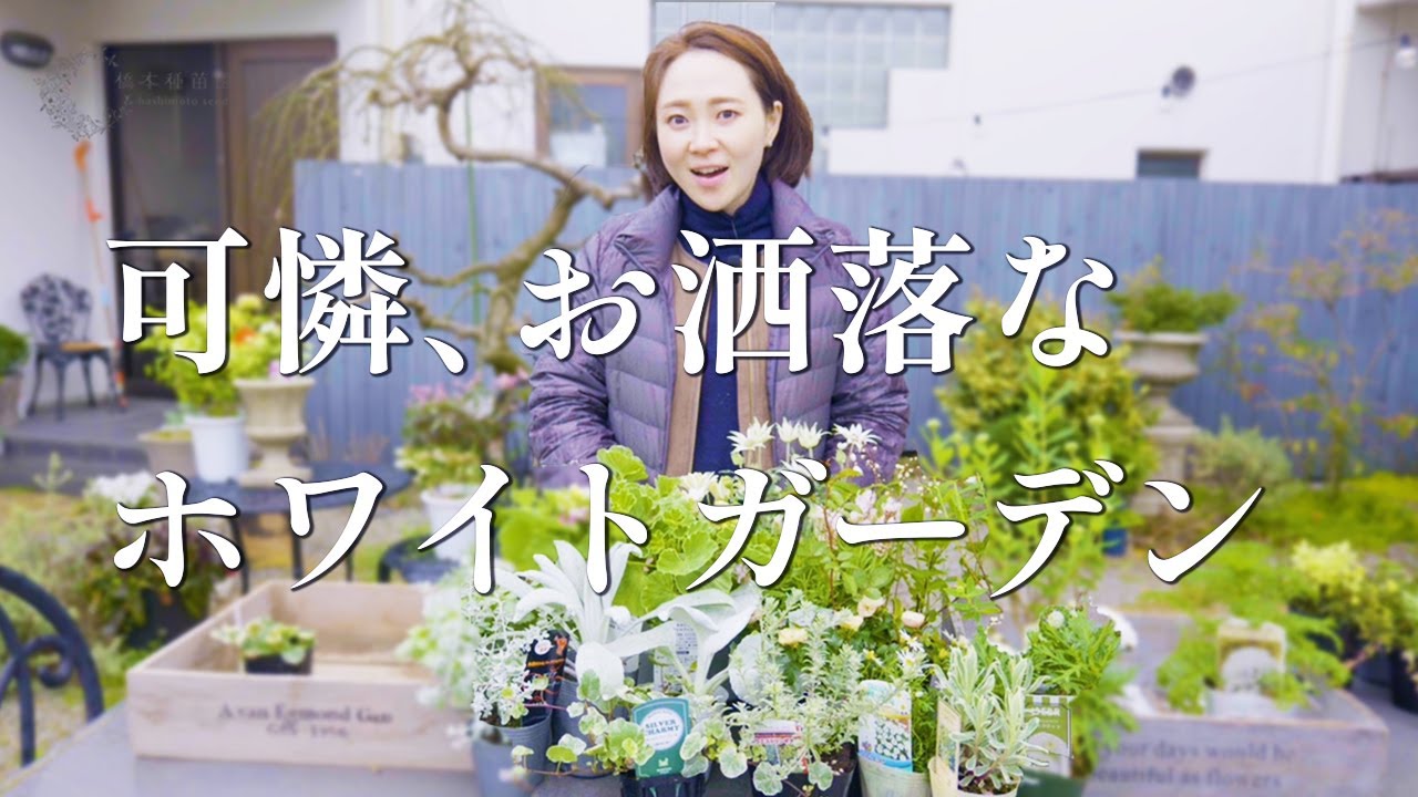 ホワイトガーデンにおすすめの植物♪【20選】