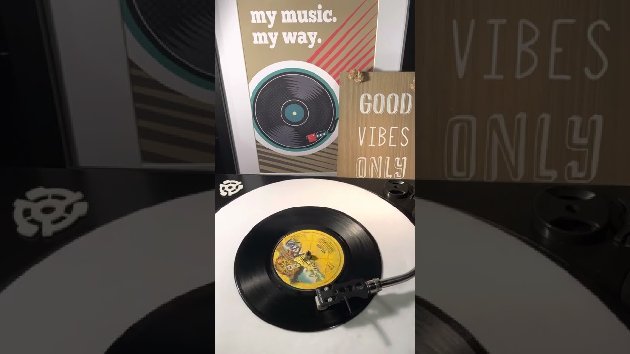 Rod Stewart- Hot Legs ( Vinyl 45 ) From 1978 .