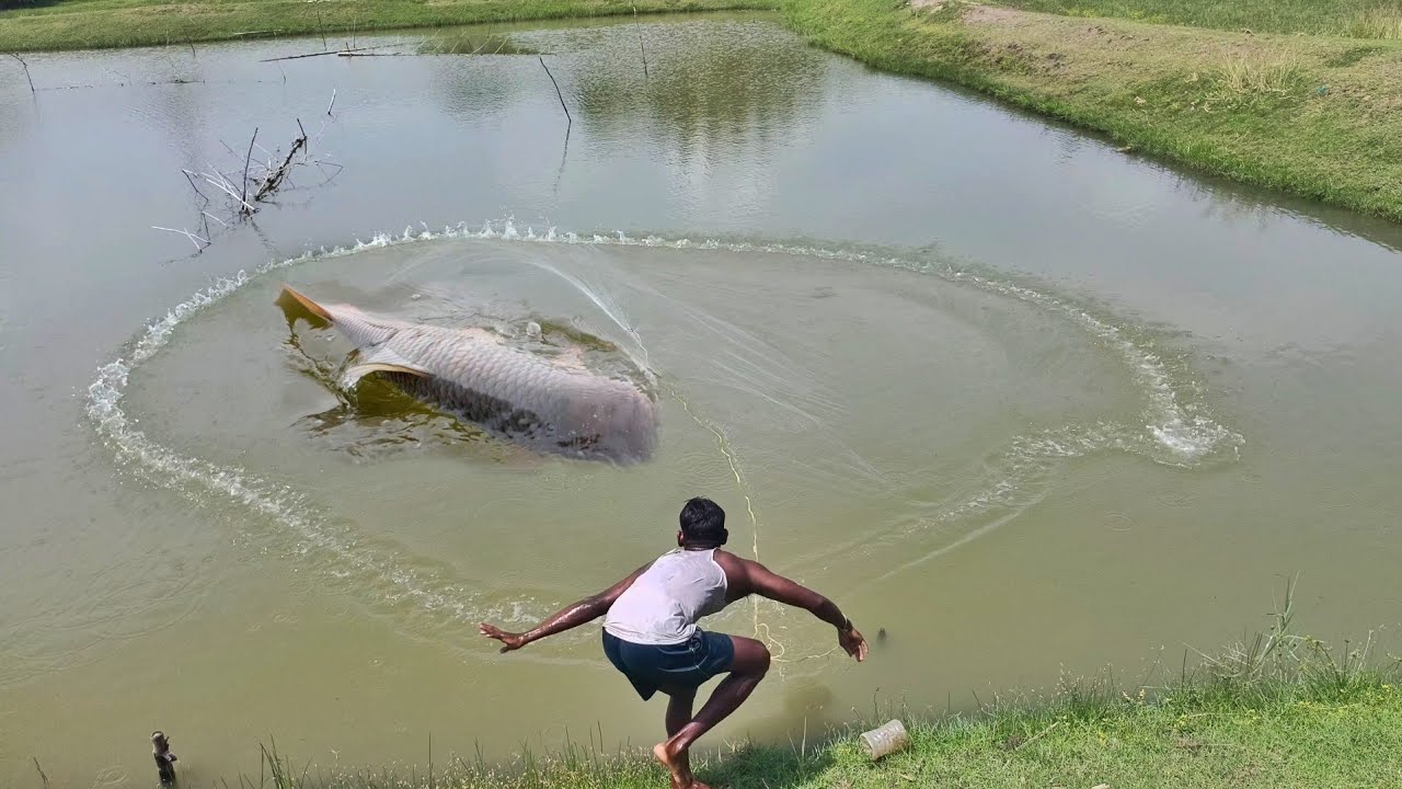 Best Net Fishing Video - Traditional Catching Fish in The River 