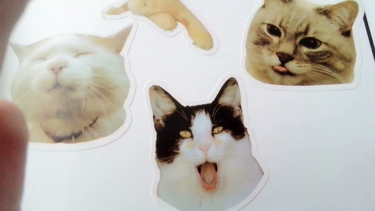 ✨cat sticker book ✨(pt 2) ✨