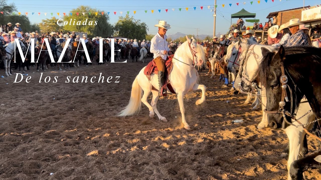 🔴ASI DISFRUTAMOS LAS FAMOSAS COLEADAS DE LOS MAZATE DE LOS SANCHEZ🔥🐴🐮/Los Arrieros de Sinaloa\