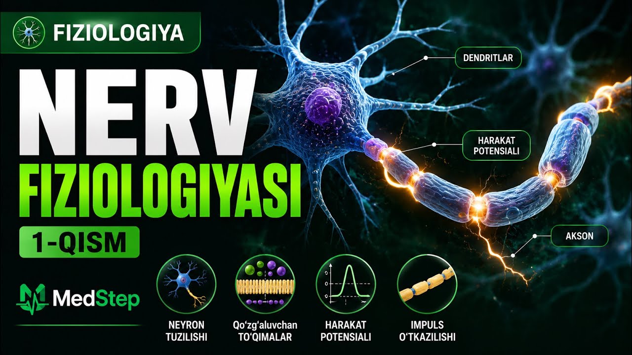 NERV FIZIOLOGIYASI | 1-QISM | HARAKAT POTENSIALI