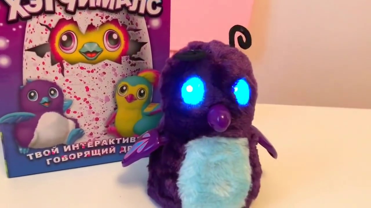 Hatchimals-Хэтчималс Пингвинёнок-твой интерактивный говорящий друг, для детей 3+