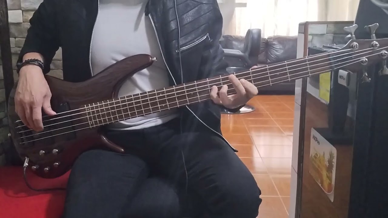 ENTER SANDMAN/METALLICA.                                     Bass cover 