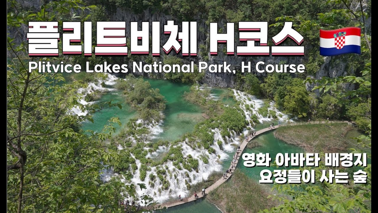 크로아티아 왔음 가야지! 요정이 사는 숲, 플리트비체 국립공원 (H코스에 대한 모든 것) [플리트비체/크로아티아] EP10