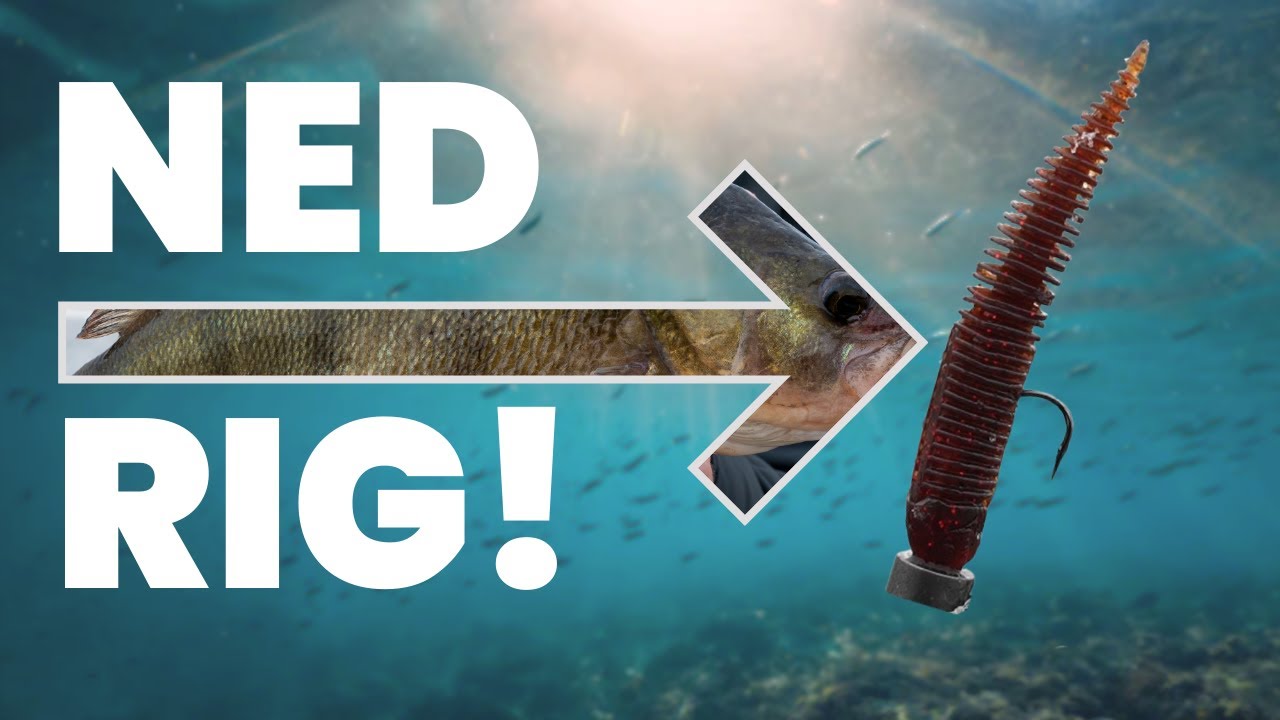 Spos&oacute;b na OKONIE z dna! NED RIG! ft. @fishingstorepl !