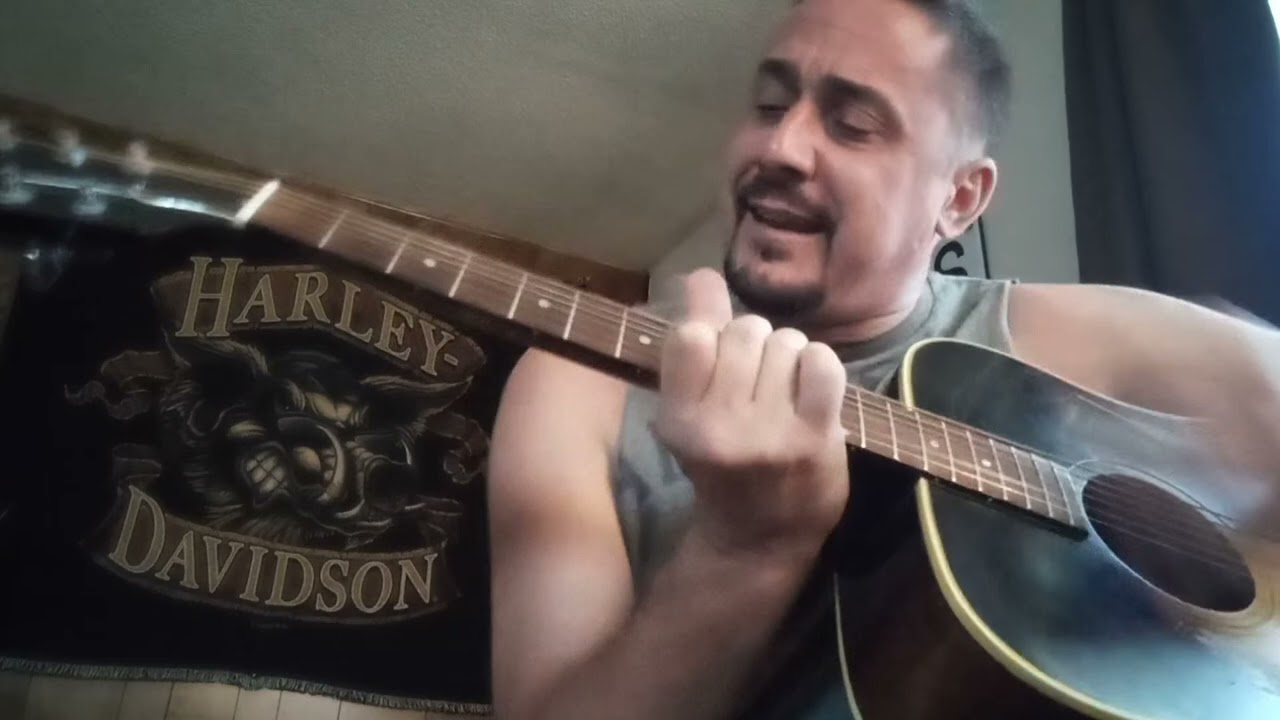 Rise Against- Swing Life Away (acoustic cover)