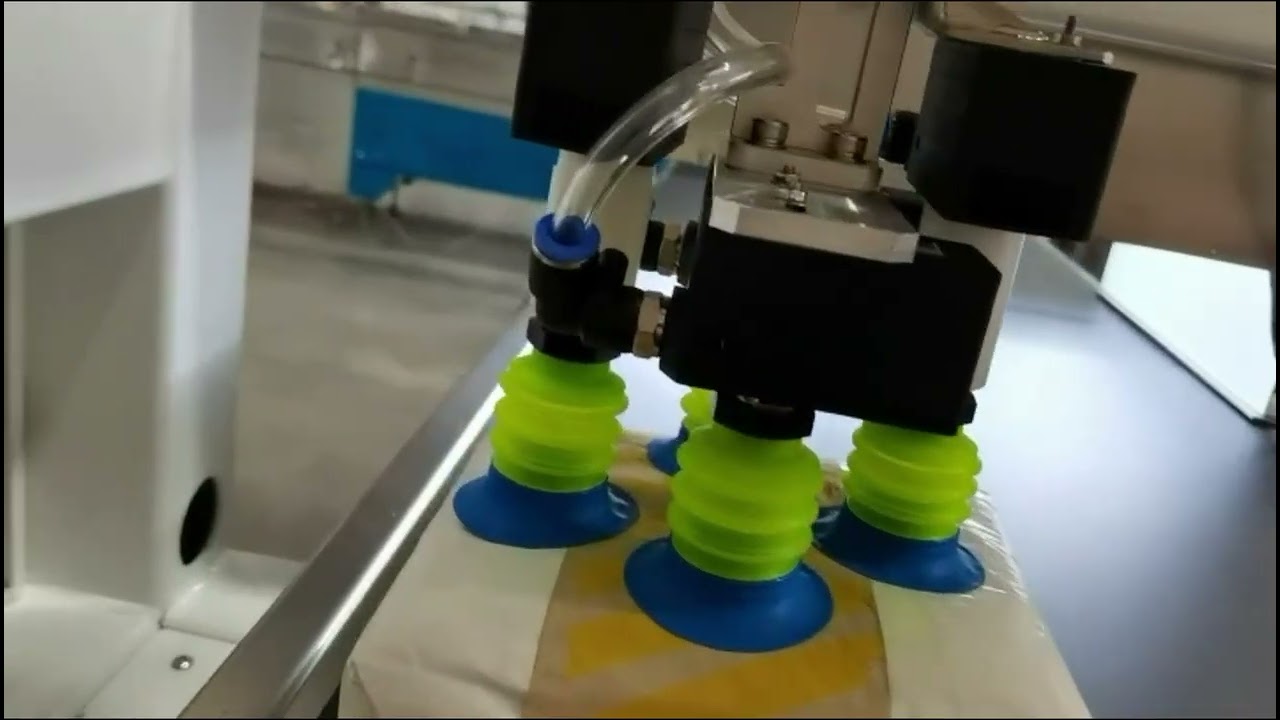 Ajustment for cartoning machine and palletizing robot - USA factory