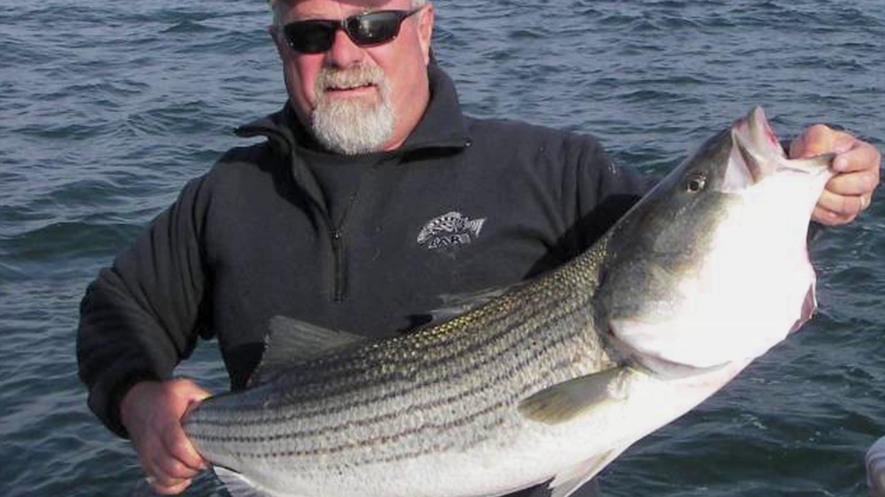 Cape Cod Striped Bass | Massachusetts