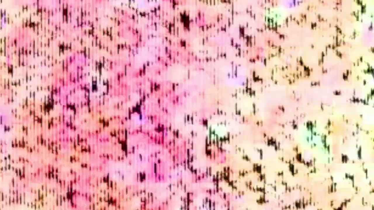 BMF - Farhad Farzali