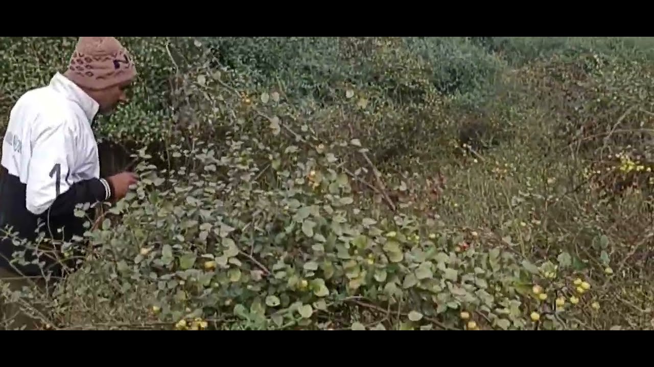 Kudrat Ka khajana 
