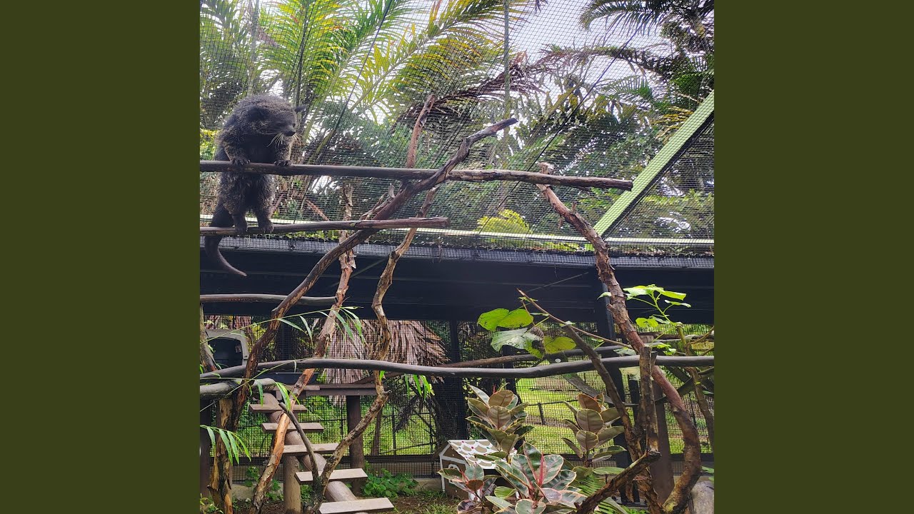 Old Heads in the infield
