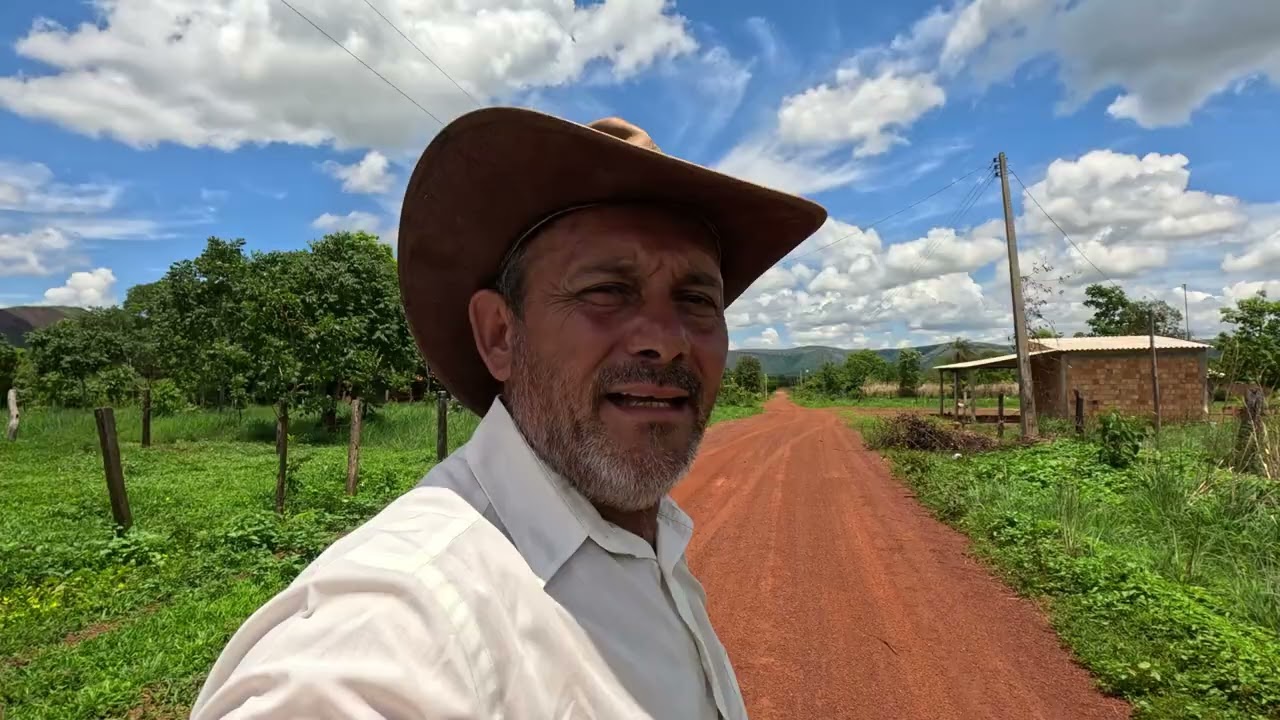 CHÁCARA BARATÍSSIMA ESCRITURADA! 2 Hectares • Terra Vermelha Plana • Energia na Porta • Vila Boa–GO!