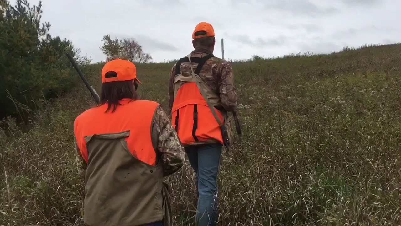 Pheasant hunting
