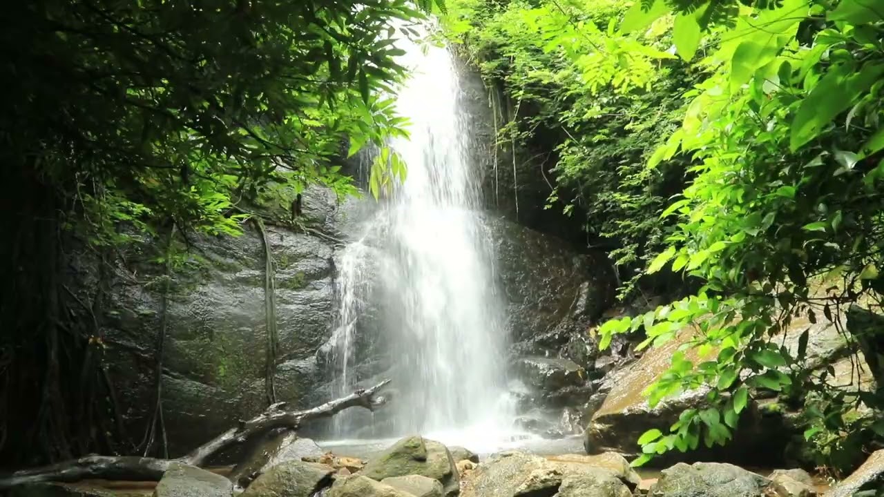 Relaxing Waterfall Sounds 🌿 Deep Sleep, Stress Relief, Meditation & Nature Sounds🧘‍♀️