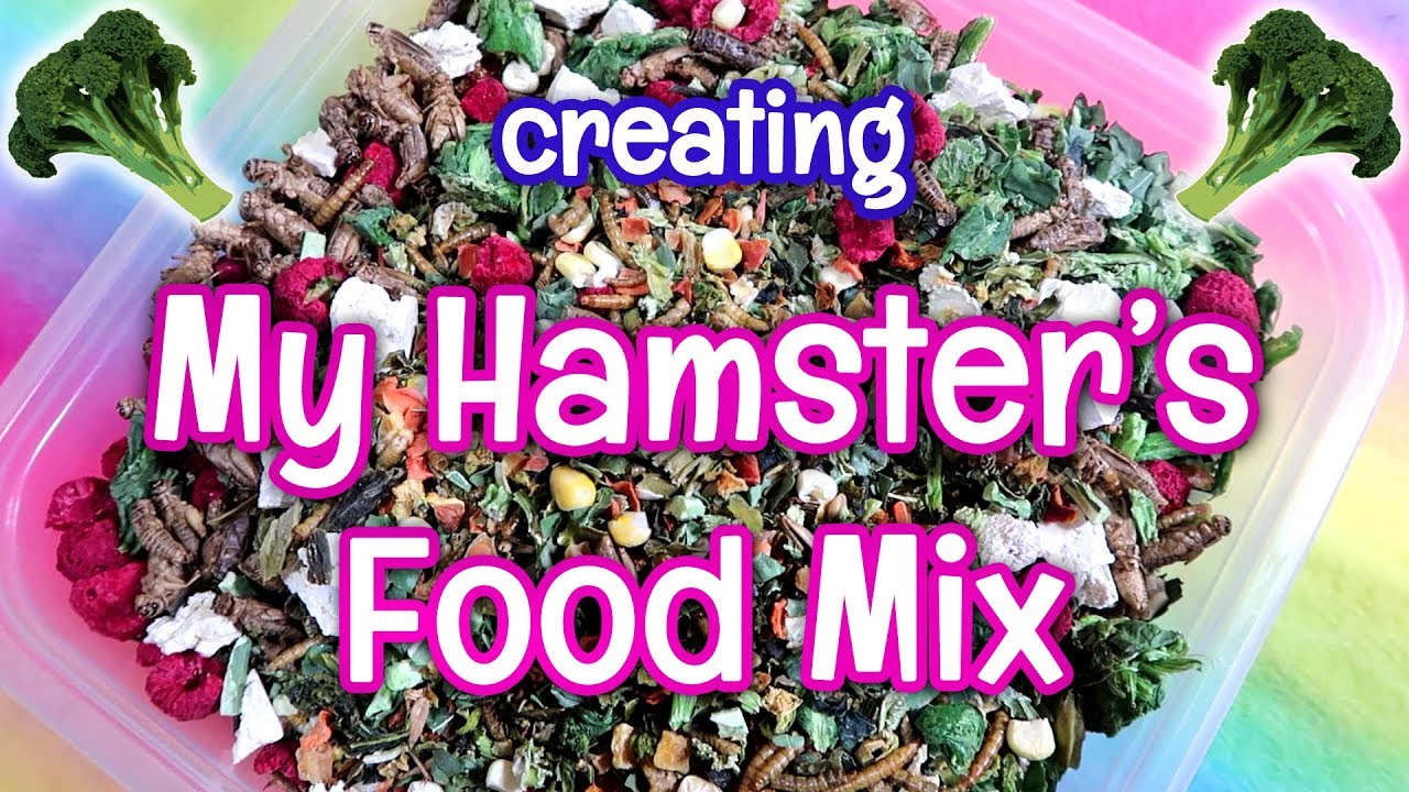 Creating Kashi's Homemade Food Mix | Hamster Diet