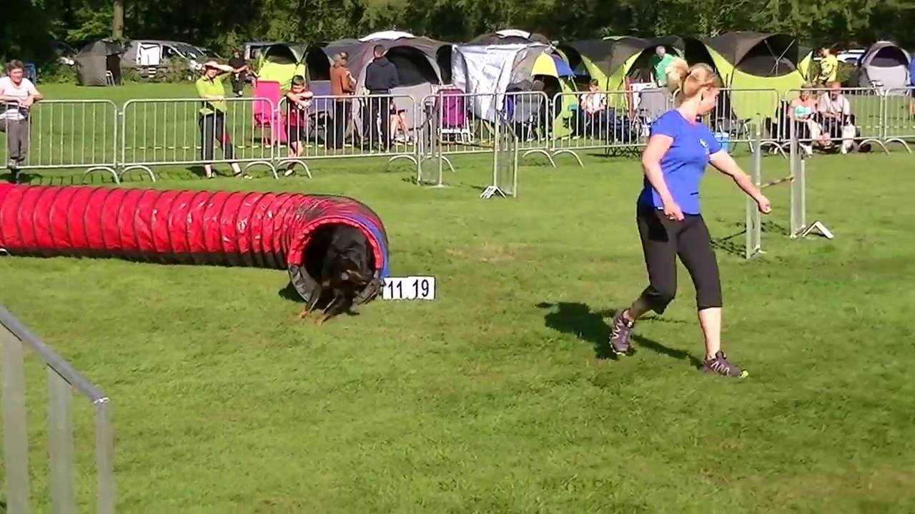 Agility - Beauceron Jethan - Brabo 2016