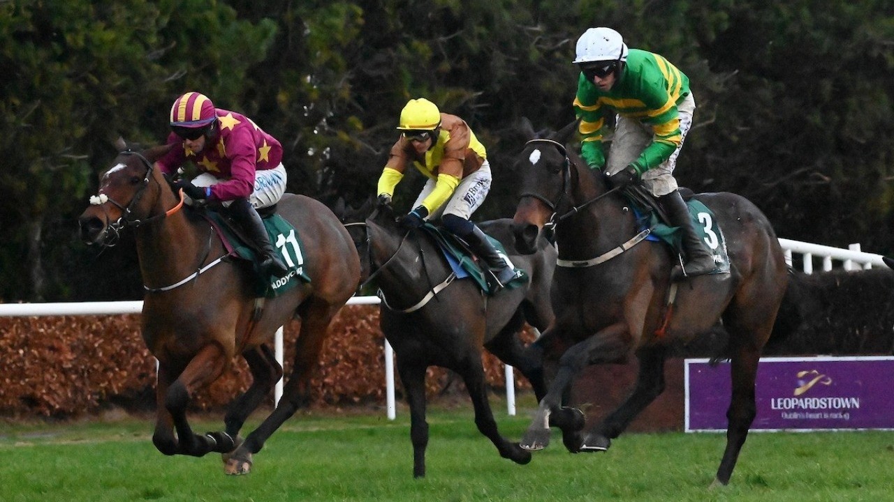 Fact To File wins 2026 Irish Gold Cup, with Galopin Des Champs a third | Leopardstown | Full Race |