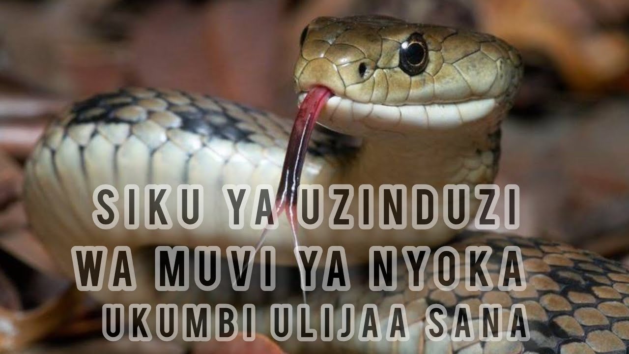 UKUMBI WA ALENA ULIJAA MWAKA TUMEFUNGA VYEMA YECHU  YECHU 