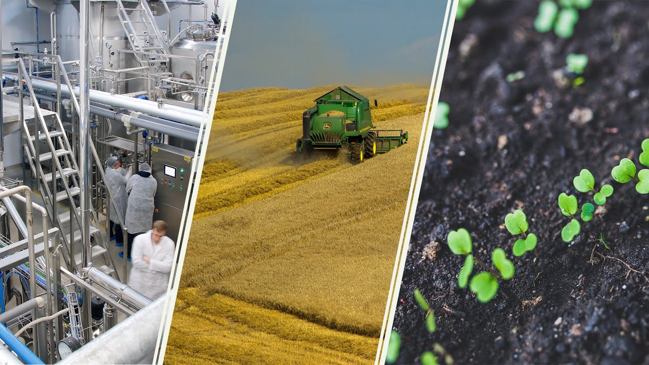 🥇🔥  MANUFACTURE OF PELLETS AND COFFEE BRIQUETTES FROM COLOMBIA - (biofuels, fuels and energy)