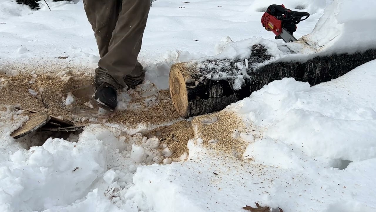 Joe’s XS 2511 ‘s stock 12” b&c 