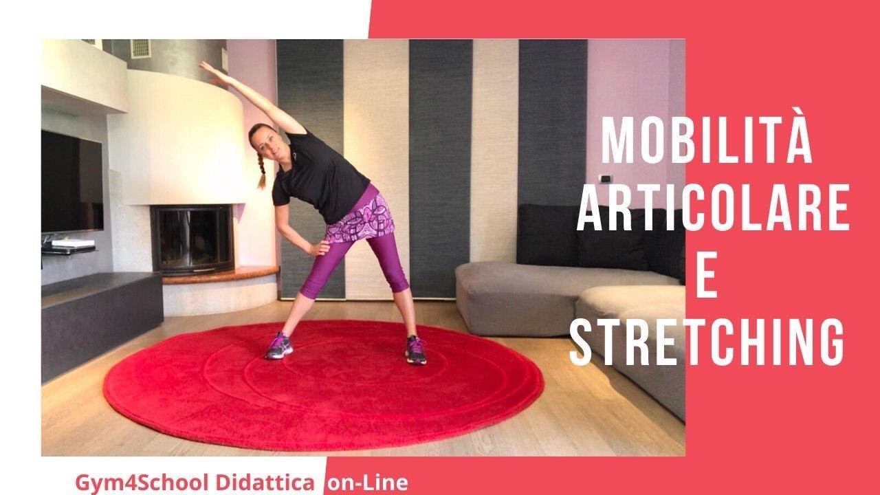 Parte 1: mobilità articolare e stretching (DAD scienze motorie e sportive)