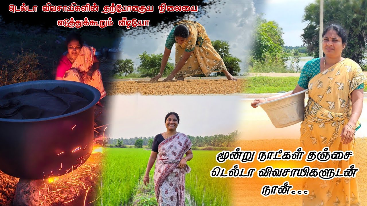 ஒரு மூட்டை நெல்லில் ஒரு வாரம் பதப்படுத்திய பிறகு கிடைத்த அரிசியின் அளவை துல்லியமாக
