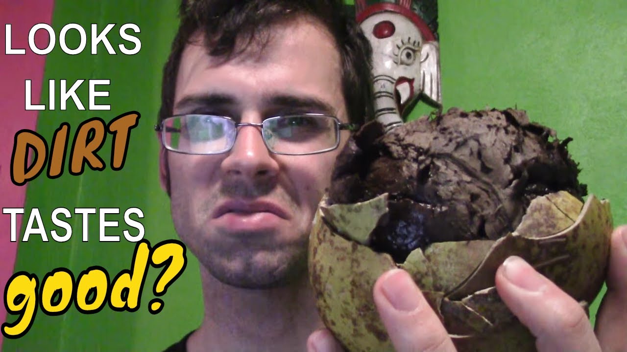 Mexican Calabash Review (Crescentia alata) Looks gross but tastes good! - Weird Fruit Explorer 288