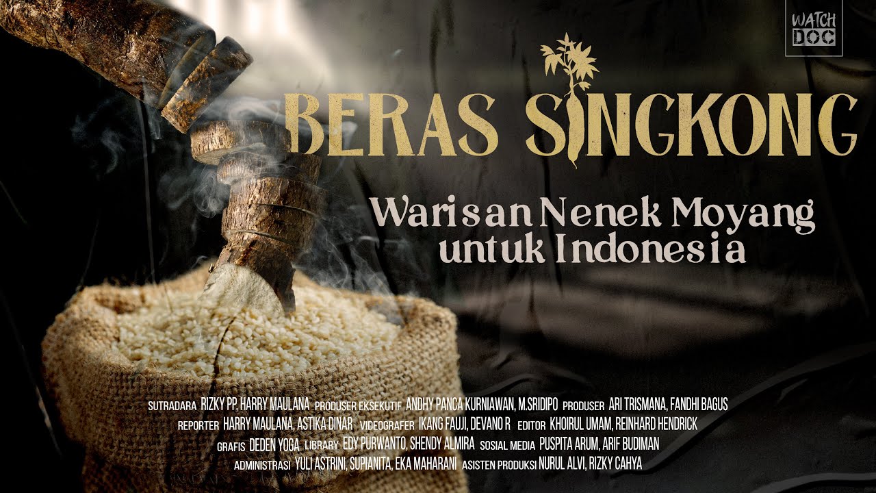 BERAS SINGKONG: Warisan Nenek Moyang Untuk Indonesia | 1000 HARI PANDEMI SERIES