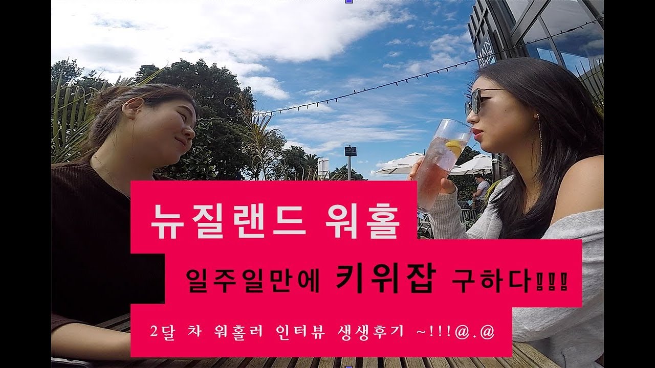 [KIWILIFE]New Zealand Working Holiday 뉴질랜드 워홀, 일주일만에 키위잡 구하는 법!!!!