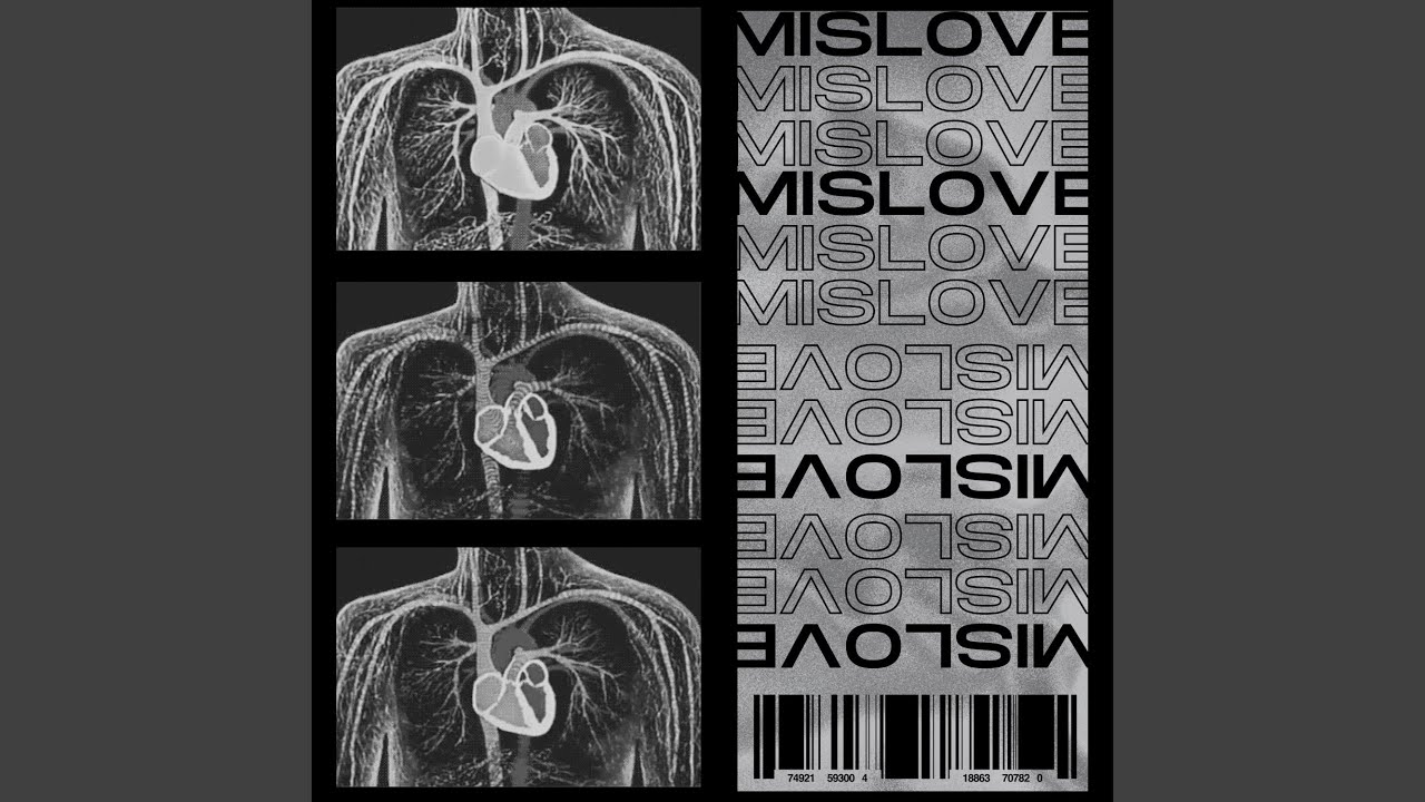 MISLOVE