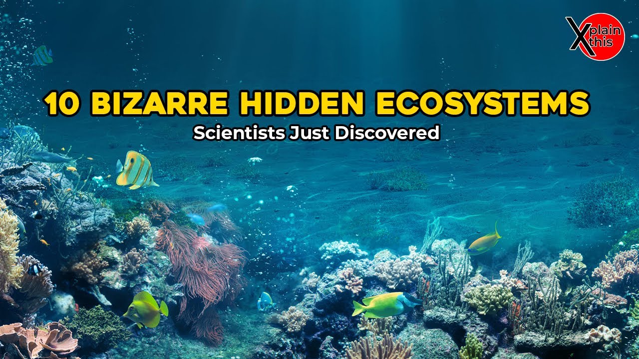 10 Bizarre Hidden Ecosystems Scientists Just Discovered 🌍🔬