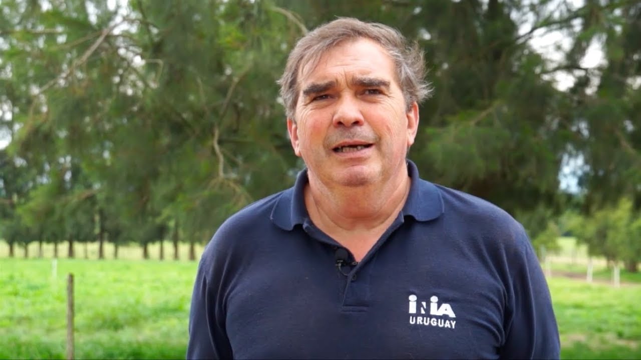 Entrega de perros Maremma - Ing. Agr. Andrés Ganzábal