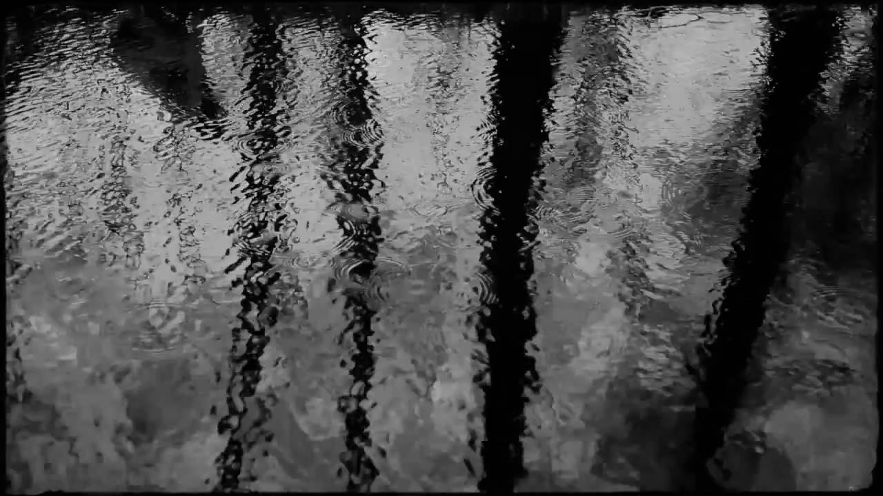Blisko Pola - I'm shaken towards the