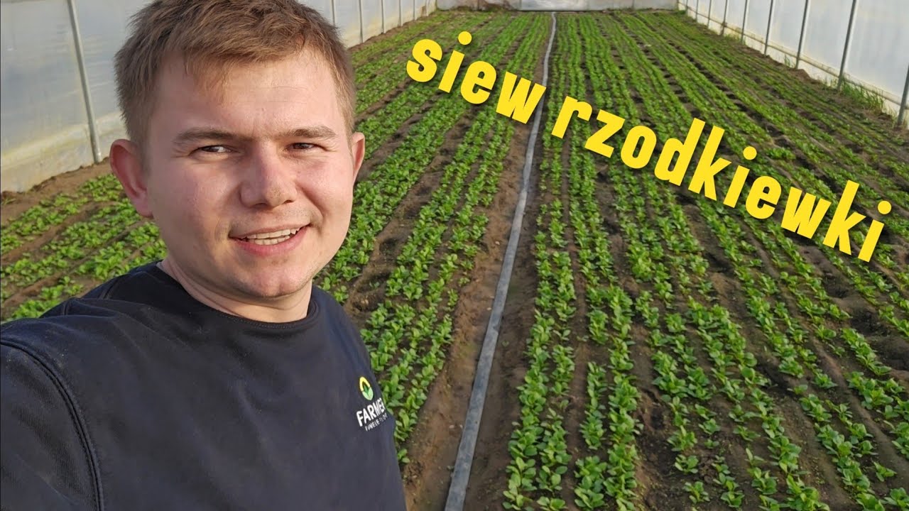 Wysiałem rzodkiewkę – zobaczymy co z tego będzie 🌱