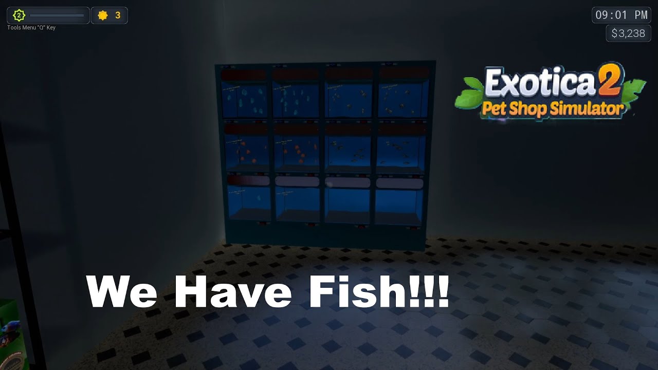 Getting The Shop Together!! Exotica 2: The Pet Shop!