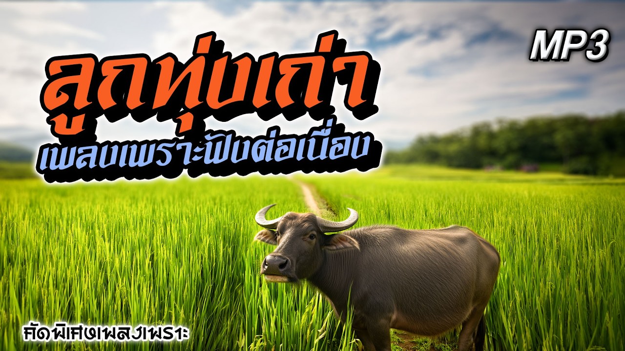 ลูกทุ่งเก่า คัดเพลงเพราะฟังต่อเนื่อง
