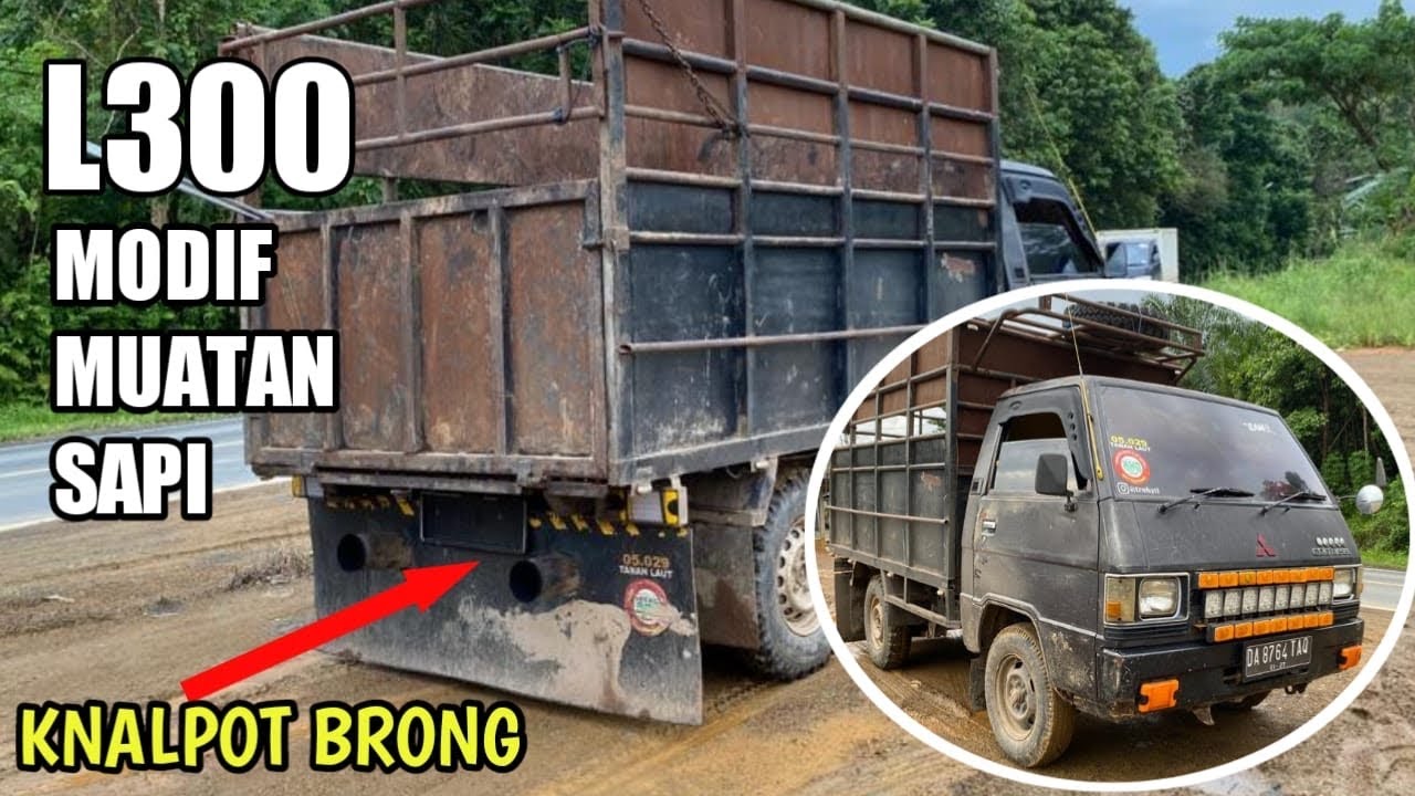 L300 MODIF MUATAN SAPI //PAKAI KNALPOT  BRONG
