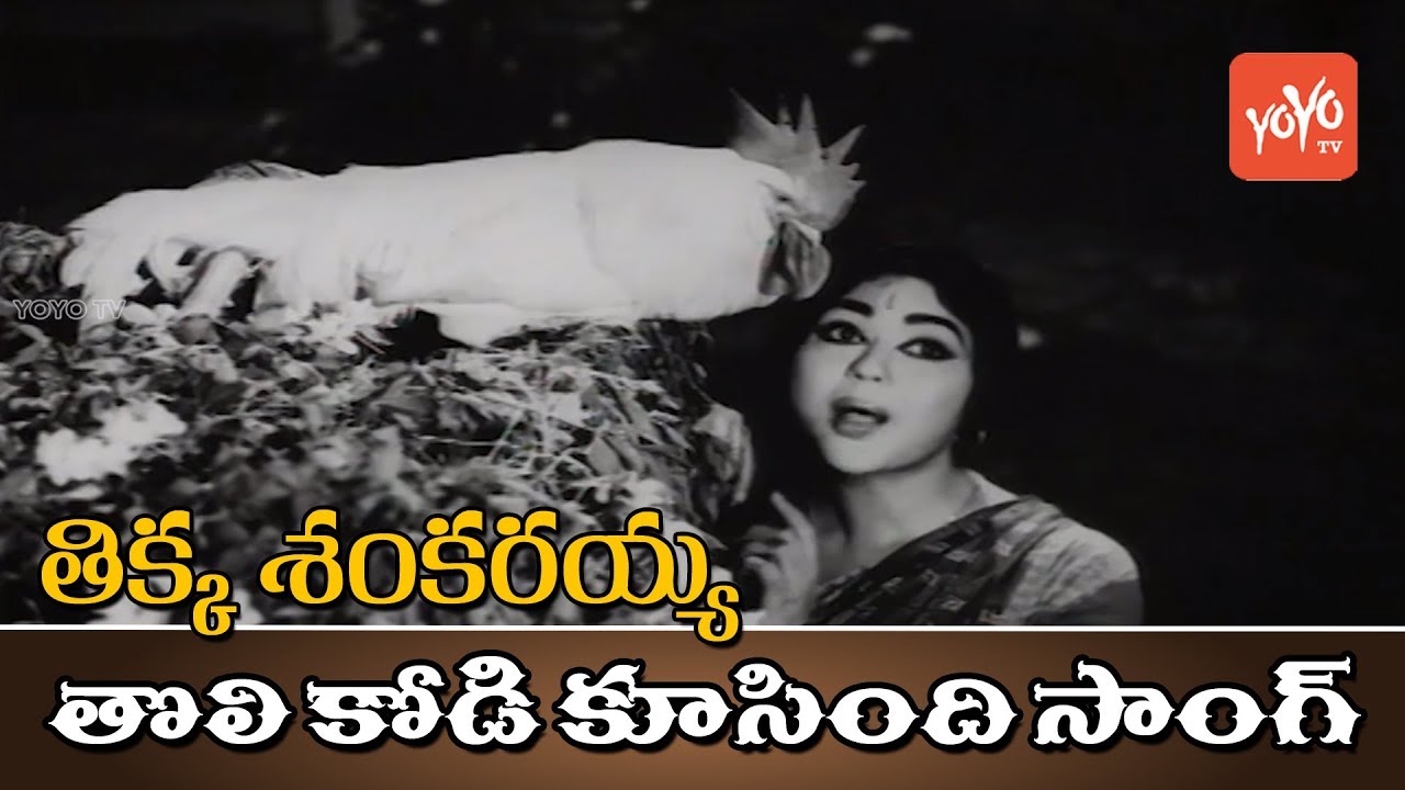 Tikka Sankarayya Telugu Movie | Tholi Kodi Koosindi Video Song | NTR, Krishna Kumari | YOYO TV Music