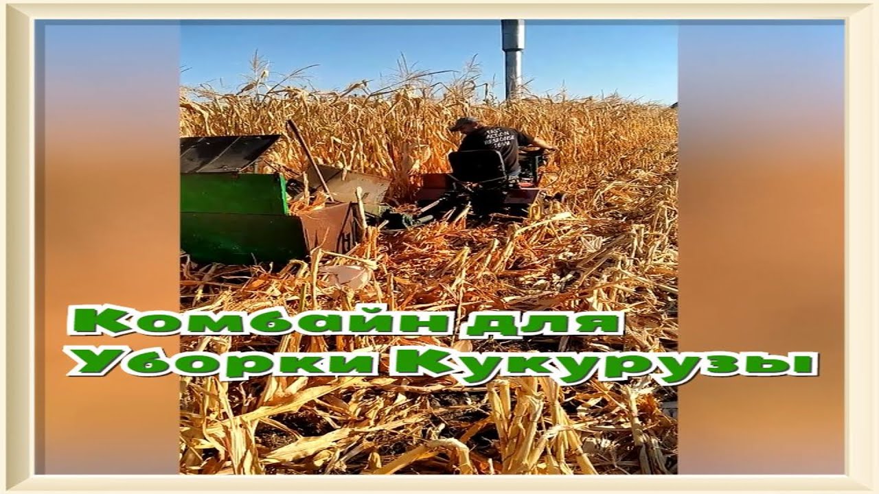 Комбайн для уборки кукурузы своими руками.\DIY corn harvester