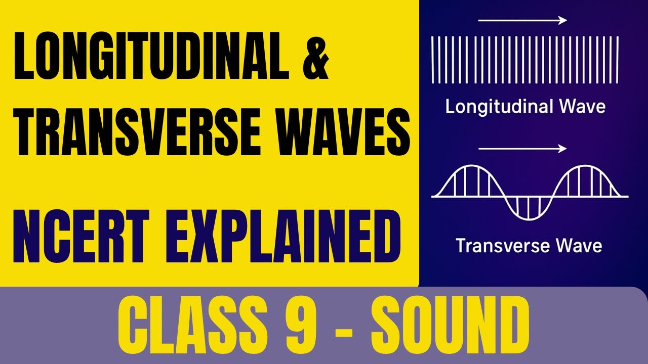Longitudinal & Transverse Waves | Detailed Explanation | Class 9 Physics CBSE