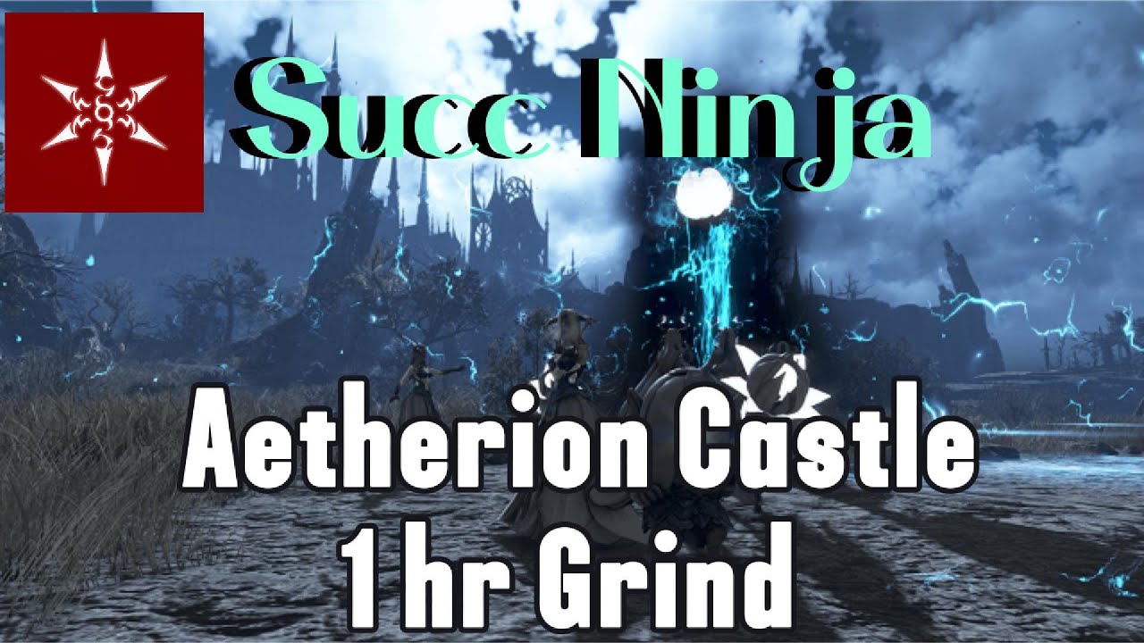 BDO Aetherion Castle   Succ Ninja 1 hr Grind (first time) #blackdesertonline